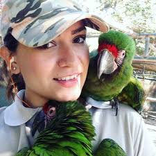 Peppermint Narwhal Creative