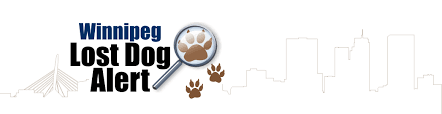 1:39 toronto officers find lost pet for regent park boy. Found Dog Tips Rural Winnipeg Lost Dog Alert