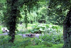 Feel free to spend some time on this site! Alter Botanischer Garten Old Botanical Garden Gottingen