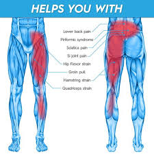 Together, they form the part of the pelvis called the pelvic girdle. Groin Support And Hip Brace For Men Women Compression Wrap For Thigh Quad Hamstring Joints Sciatica Nerve Pain Relief Leg Strap Amazon Setup