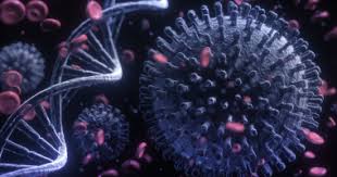 La cepa delta de sars cov 2 también se conoce también como b.1.617.2 y ya se ha convertido en la variante dominante en escocia e inglaterra. Variante Delta Archivos Onu Mexico Enfermedad Por El Coronavirus Covid 19