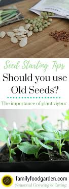 Germinating seeds in soil , plus. Should You Use Old Seeds Family Food Garden Food Garden Seed Starting Starting Seeds Indoors