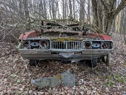 Hooniverse Asks: Why do people leave cars in the Woods? - Hooniverse