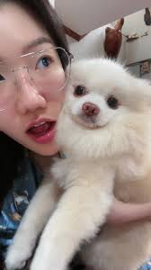 my daisy just for you #atomapcy