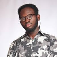 His death comes just as nigerians mourn. 10 Steven Akinola Profiles Linkedin