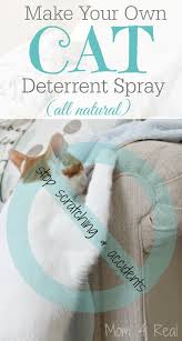 Cat anti scratch spray is a fast acting topical spray that discourages cats from scratching and chewing on hot spots, injuries and bandages. Homemade Cat Deterrent Spray Stop The Scratching And Accidents Mom 4 Real