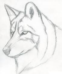Pin By Omer Faruk Oguz On A R T Wolf Sketch Cool Drawings Wolf Drawing