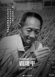8月9日，是中国工程院院士、著名杂交水稻专家袁隆平90岁生日。 孙女为袁院士送上生日蛋糕，袁 为方便行动不太便利的老院士研究，湖南省农科院在袁隆平住宅旁安排了一块试验田。 这块田从此就成了他的心病。 只要在长沙，每天都得看上好几遍。 H9djqssa3kcq0m