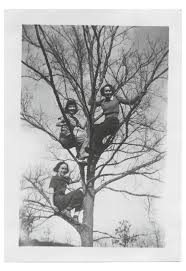 Five cups on top of. Cabinet Up A Tree