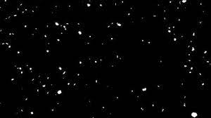Pin On Free Video Background