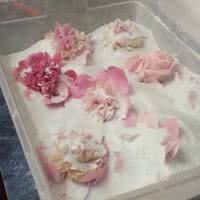 Silica gel powder for drying flowers. Dry Flowers Using Silica Gel Agm Containers Controls