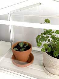 From kale to carrots, you're sure to find a veggie to grow. How To Grow Kale Indoors Harvest Fresh Leaves Without Going Outside