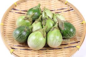 タイナス／マクアポ＜茄子：旬の野菜百科