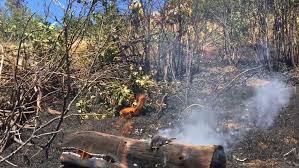 Employment department (oed), oregon department of transportation (odot) , and oregon liquor control commission (olcc). Oregon Department Of Forestry Hiring Man Lookouts For Wildfire Season Ktvl