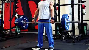 Both the rdl and the sldl are excellent exercises for building. The Heavyweight Lifting Match T Nation