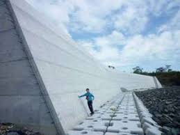 How tall does a sea wall need to be? Issues Surrounding The Seawall Construction Plans Proposed By The Japanese Government