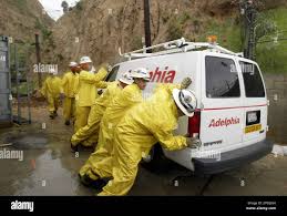 Image result for Anadelphia