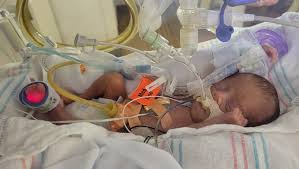 Fundraiser by Moni Salcido : Fighting NEC with Benjamin