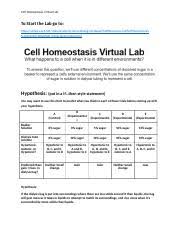 Cell biology video games, virtual labs & activities. Virtual Osmosis Lab Worksheet Docx Cell Homeostasis Virtual Lab To Start The Lab Go To Https Video Esc4 Net Video Assets Science Biology Gateway Course Hero