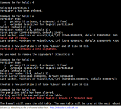 在Debian Linux 里“压缩卷” - shrink partion - 刘家的博客