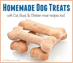 Sprinkle with a bit more catnip if you like. Homemade Dog Treats Cat Treats And More