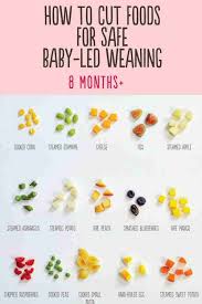 Image result for Solid Food Introduction in Infants
