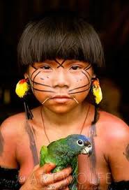 658 Best amazon images | Amazon rainforest, People of the world ...