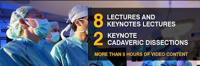 You must define the anatomy! 1st Virtual Intensive Masterclass On Laparoscopic Surgical Anatomy For Abdomino Pelvic Surgery With Online Cadaveric Dissection Issa School