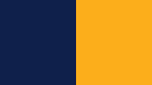 The current status of the logo is active, which means the logo is currently in use. Jet Airways Logo Color Scheme Blue Schemecolor Com