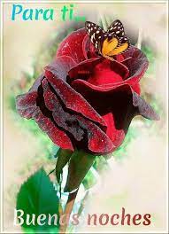 Buenas Noches Beautiful Roses Beautiful Flowers Flowers Gif