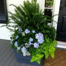 65 Attractive Front Door Flowers Pot Ideas Porch Plants Container Flowers Flower Pots
