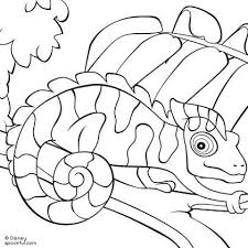 Chameleon Coloring Page Butterfly Coloring Page Coloring Pages Super Coloring Pages