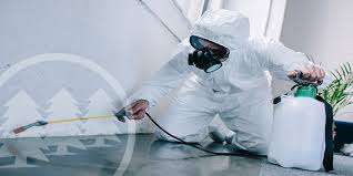Termites can be very destructive to your home costing you thousands of dollars in. Hoa Pest Infestation Who Pays For Pest Control Cmg