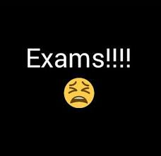 Hrr Kis Kis Da Examss Na Exam Quotes Funny Exam Quotes Exams Funny