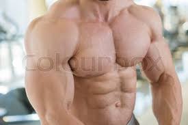 The upper torso is considered to be anything above the waist and below the neck, including the shoulders and back. Muscular Torso And Arms Bodybuilder Stock Image Colourbox