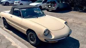 Image result for Avorio 1982 Alfa-Romeo