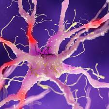 Pinched nerves occur when an axon (or multiple) of the peripheral nervous system is compressed by unnatural posture, bone spur, herniated disk how long will it take until a pinched nerve goes away on its own? 8 Signs You Might Have Nerve Damage According To Doctors