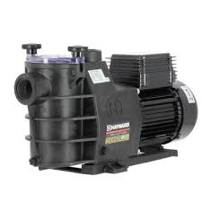 Decouvrez La Pompe Piscine Max Flo D Hayward