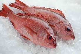 Check spelling or type a new query. 8 Manfaat Ikan Kakap Bagi Kesehatan Dan Kandungan Nutrisinya