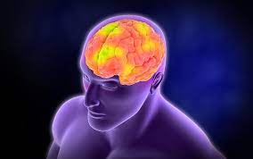 We did not find results for: Afasia Global Cuales Son Sus Principales Caracteristicas Psicoactiva