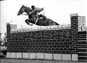 Résultat de recherche d'images pour "siebenthal qatar"