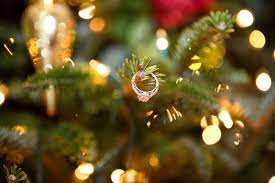 Photo Of The Day Tree Wedding Ring Engagement Ring Pictures Christmas Morning Pictures