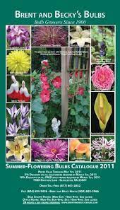 2008 Summer Flowering Bulbs Catalogue Brent And Becky S Bulbs