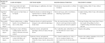 Burn Injuries Basicmedical Key