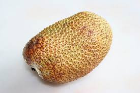 Check out our post on how animals sound in different languages. Cempedak Fruit Facts And Health Benefits