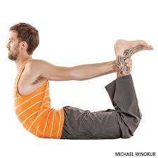 Bow Pose Dhanurasana Yoga Pose Yoga Poses Backbend Yoga Poses Yoga Backbend