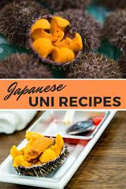 60% of the uni genesis supply is allocated to uniswap community members, a quarter of which (15% of total supply) has to start, uni is available through four liquidity mining pools: Japanese Uni Recipes What Is Uni How To Prepare It