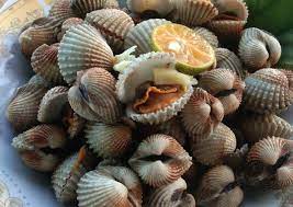 Resep Kerang Dara Rebus Oleh Widjie Astuti Recipe Resep Kerang Resep Masakan