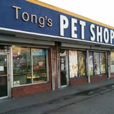 12595 foothill blvd, los angeles (ca), 91331, united states. Fish Pet Store Near Me Pet S Gallery