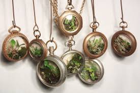 Watch Terrarium Terrarium Necklace Terrarium Diy Terrarium